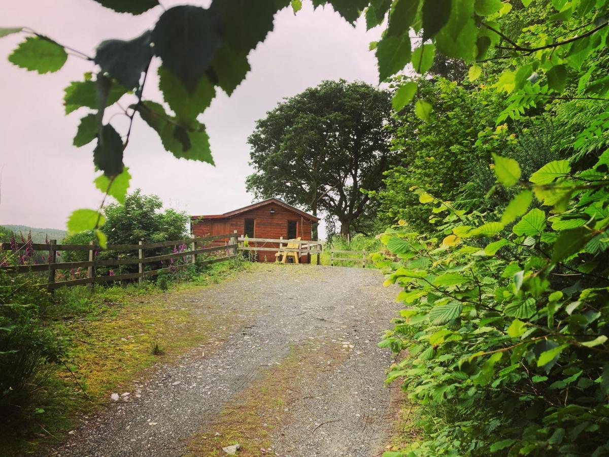 Apartmán Cabin Pren , Darowen , Machynlleth Exteriér fotografie